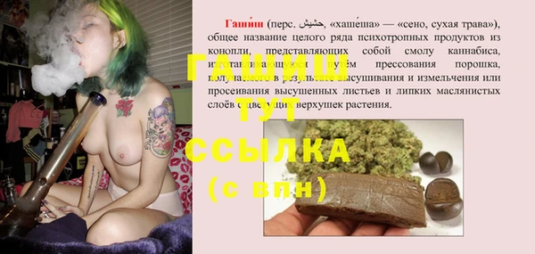 прущие грибы Новозыбков
