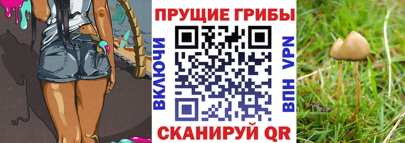 Псилоцибиновые грибы прущие грибы мега сайт Карпинск